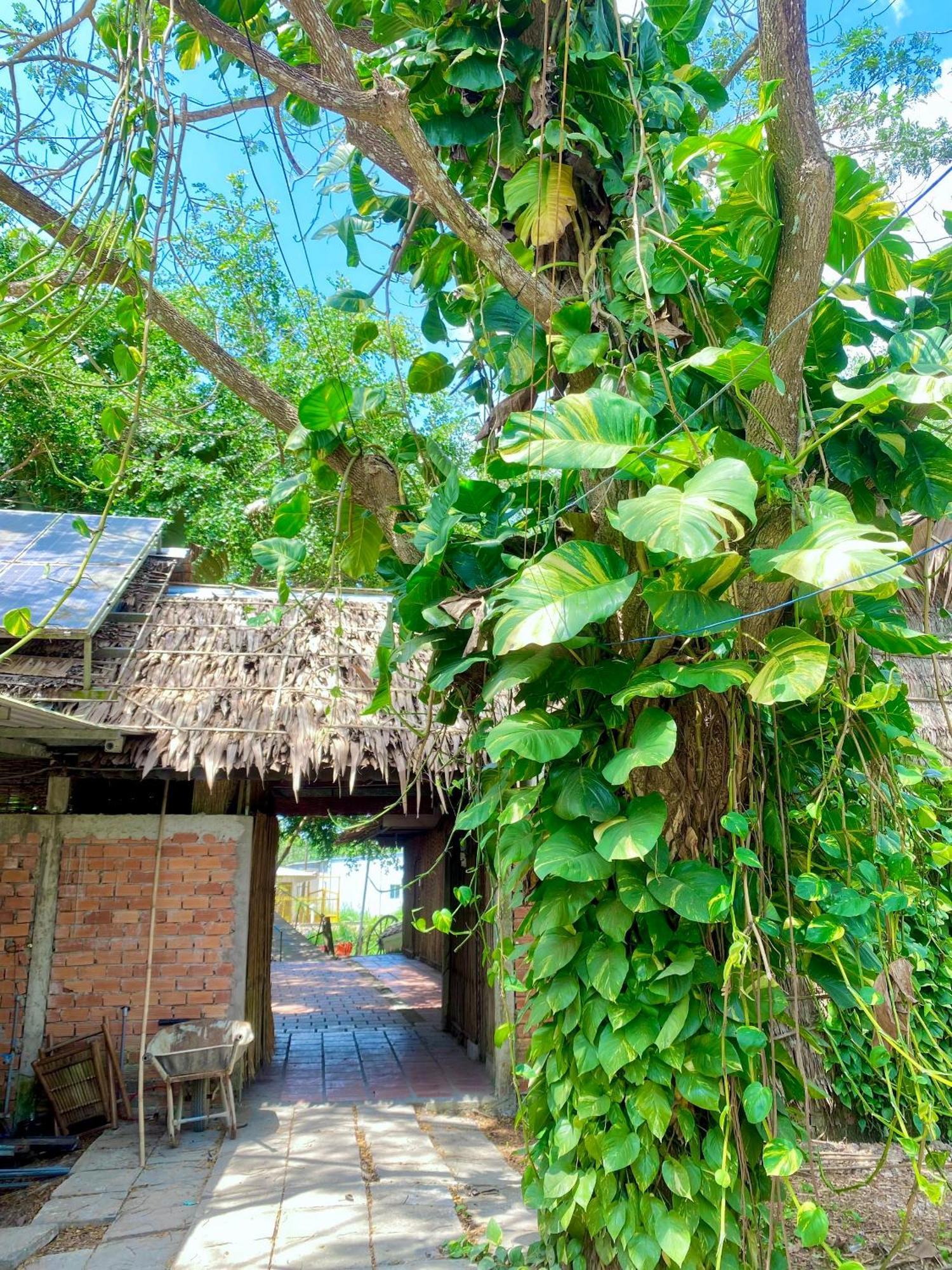 Homestay Mekong Can Tho Eksteriør bilde